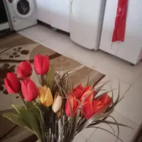 گلها همه باهم 100