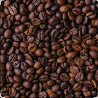 پودر و دان قهوه