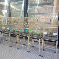 قفس بزرگ کوچک عروس هلندی قناری مینا فنج مرغ عشق|لوازم جانبی حیوانات|کرمانشاه, |دیوار