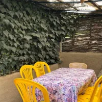 اجاره کلبه جنگلی با امکانات در جاده آبشار زیارت|اجارهٔ کوتاهمدت ویلا و باغ|گرگان, |دیوار