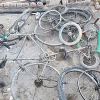 تعدادی دوچرخه|دوچرخه، اسکیت، اسکوتر|کرمان, |دیوار