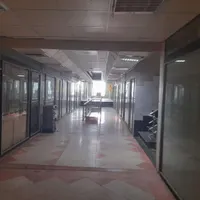 مغازه درخ المهدی پاساژ ناصر در کرج