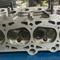 سرسیلند کامل فولکس گل در حد نو