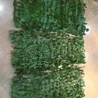 آکاردئون اکاردیون فنس دیوارپوش