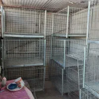 قفس جفت کن کبوتر|لوازم جانبی حیوانات|ایلام, |دیوار