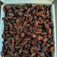 خوراکی|خوردنی و آشامیدنی|کاشمر, |دیوار