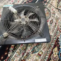 فن یاتصفیه کننده|پنکه و تصفیه‌کنندهٔ هوا|کرمانشاه, |دیوار