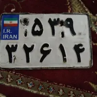 پلاک پیداشده