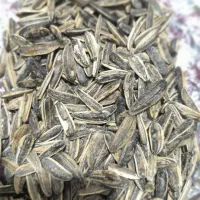 فروش تخمه سنقری|خوردنی و آشامیدنی|خزل, |دیوار