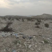 فروش زمین کشاورزی