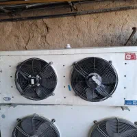 سردخانه ۸ اسب آلمانی زیر صفری کارکرده