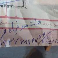 کیف زنانه|کیف، کفش، کمربند|مشهد, فتح المبین|دیوار