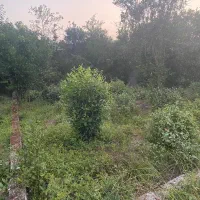 مشارکت زمین مسکونی ۳۷۰متری در قاسم رمکی