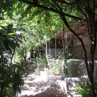بنایی.. دیوارچینی ..