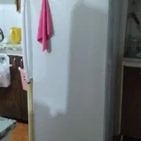 یخچال فیرزر دوقلو الکترو استیل