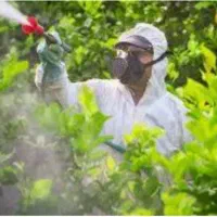 خدمات باغبانی ودرختکاری.بازدید ازباغات