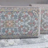 دو جفت پشتی