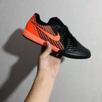 کفش سالنی|کیف، کفش، کمربند|شیروان (خراسان), |دیوار