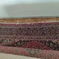 فرش ۹ متری|فرش|رامسر, |دیوار