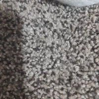 پالاز موکت درجه۱