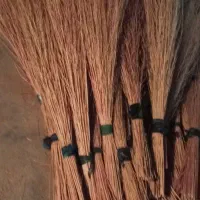 جارو خانگی|جاروبرقی، جارو شارژی، بخارشو|لردگان, |دیوار