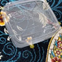 کیسه خواب.لباس|اسباب و اثاث بچه|تبریز, |دیوار