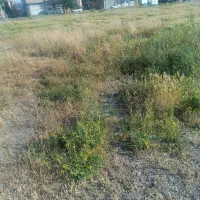 فروش زمین خ ستاری (کمربندی)