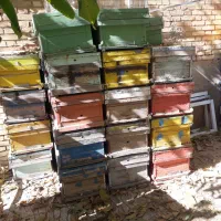 کندو|حیوانات مزرعه|فریدونشهر, |دیوار