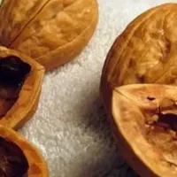 خریدار  و فروش پوست گردو