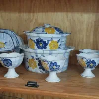 ظروف گل پنبه ای