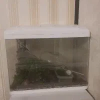 اکواریوم‌ k580