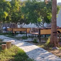 تخت شاهنشین میز صندلی|صندلی و نیمکت|کیش, |دیوار