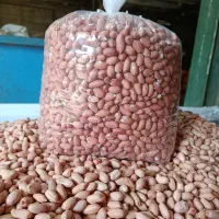 بادام درشت ومیانه آستانه