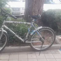 آساک اصلی تنه بزرگ