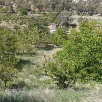 فروش-زمین-3711