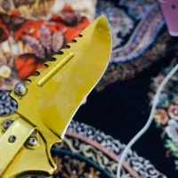 چاقو طلایی|کوهنوردی و کمپینگ|زاهدان, |دیوار