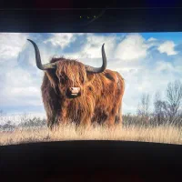 مانیتور ۳۲ اینچ خمیده گیمینگ gplus 165hz و 0.5ms|قطعات و لوازم جانبی رایانه|تبریز, |دیوار