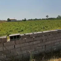 فروش زمین در لنگرود