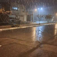 595-متر-زمین-مزروعی-علی-آباد