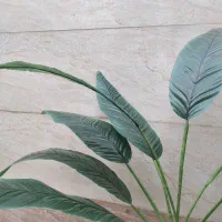 درختچه|گل مصنوعی|خرم‌آباد, |دیوار