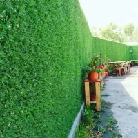 چمن مصنوعی
