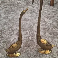 دو قوی برنزی