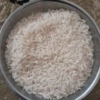 برنج کاملا ارگانیک و درجه یک محصول مزرعه خودم|خوردنی و آشامیدنی|رشت, باهنر|دیوار