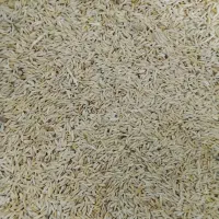 جو .|کالسکه و لوازم جانبی|کنگاور, |دیوار