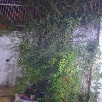 پاسداران-120متر-ویلائی