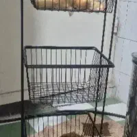 سبد سیب زمینی وپیاز|آب‌چکان و نظم‌دهنده ظروف|مشهد, گوهرشاد|دیوار