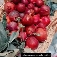 دکور و دیزاین یلدا