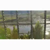 مغازه-تجاری-43-متری