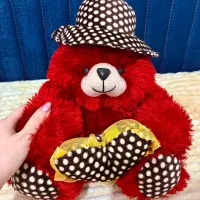 عروسک خرس قرمز ولنتاین