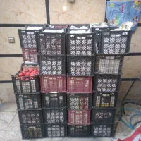 سیب درختی ارگانیک محلی|خوردنی و آشامیدنی|رباط‌کریم, رباط‌کریم|دیوار